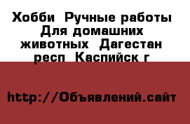 Хобби. Ручные работы Для домашних животных. Дагестан респ.,Каспийск г.